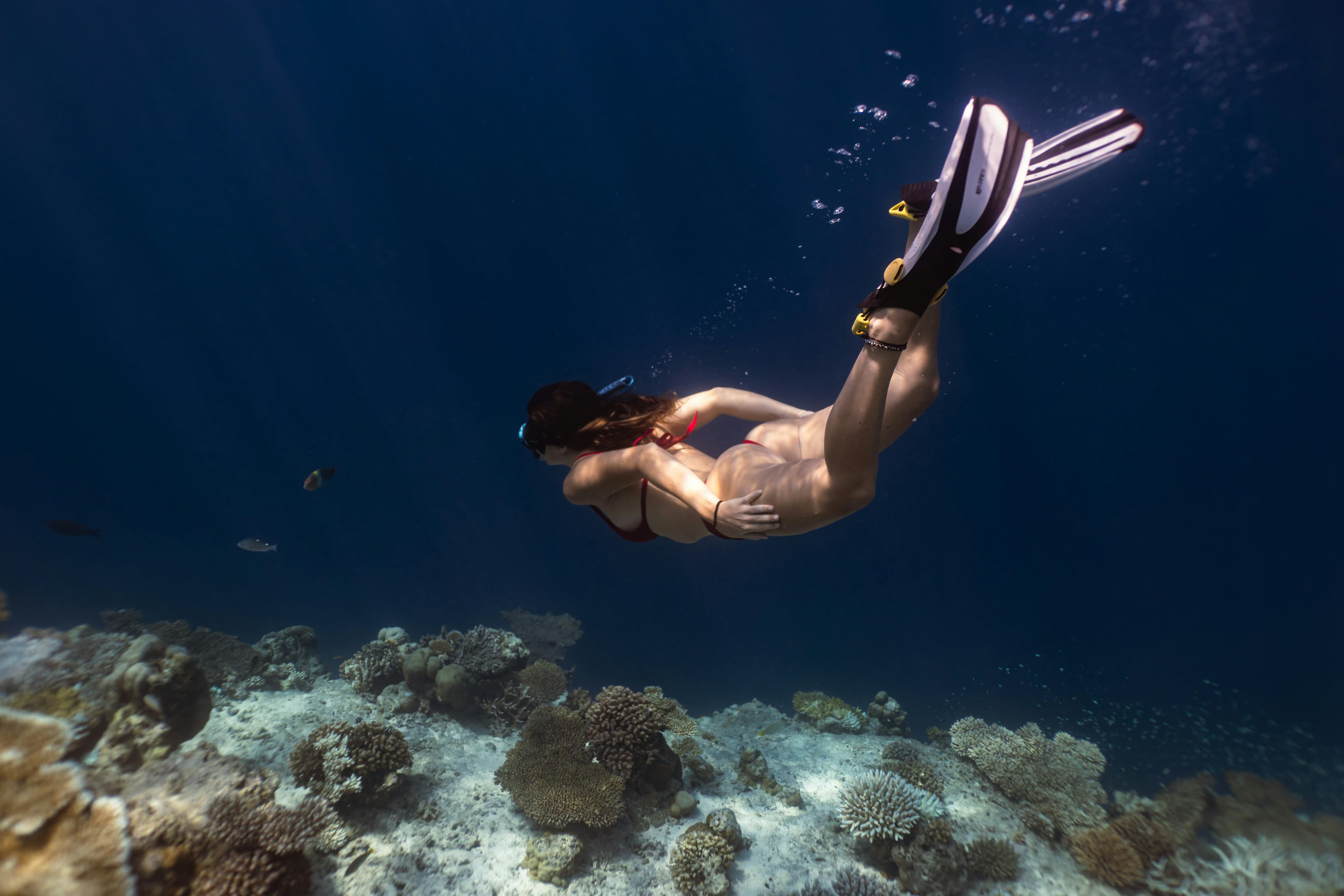 Premier Snorkeling and Diving Opportunities
